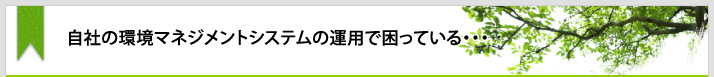 自社の環境マネジメントシステムの運用で困っている･･･