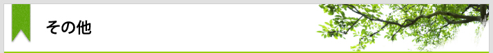 その他