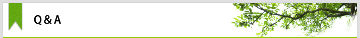 Q&A